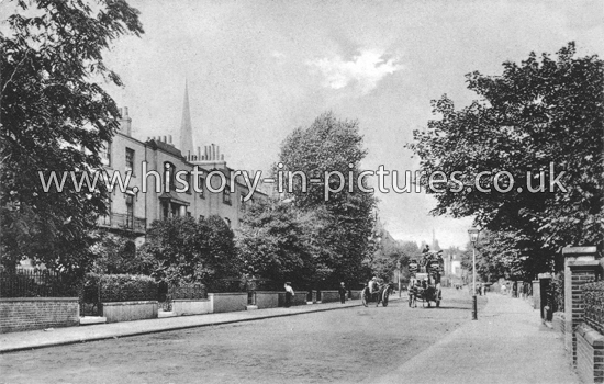 Albion Road, Stoke Newington, London. c.1907.